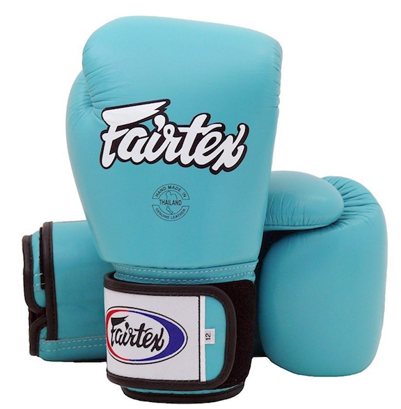 Fairtex Muay Thai Gloves Review