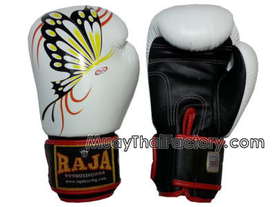Raja Muay Thai Gloves Review