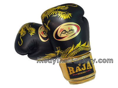 Raja Muay Thai Gloves Review